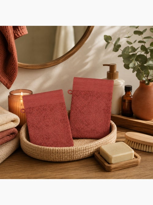 Lot de 2 gants de toilette Lilas - Kiabi