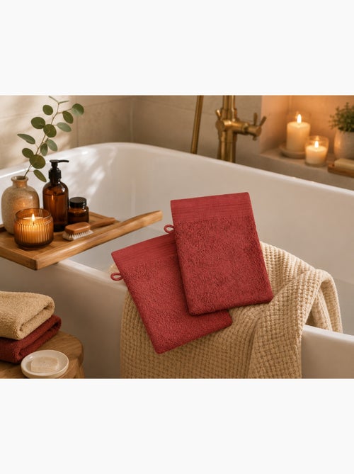 Lot de 2 gants de toilette Lilas - Kiabi