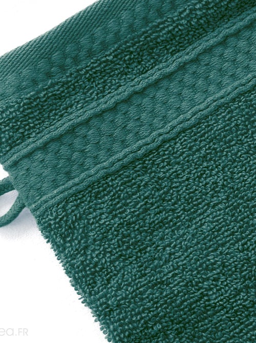 Lot de 2 gants de toilette NAÏA - Kiabi