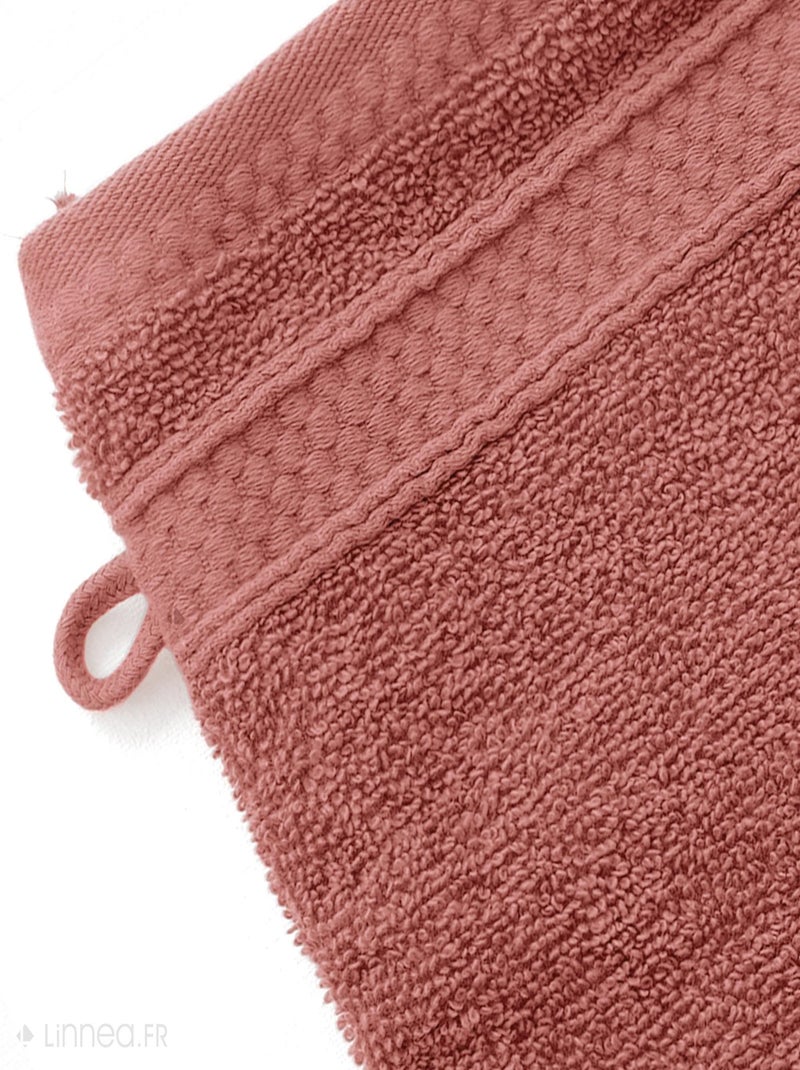 Lot de 2 gants de toilette NAÏA Rose pâle - Kiabi