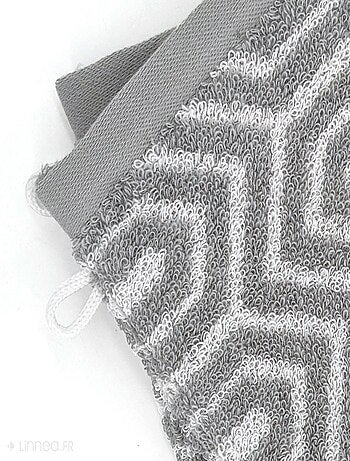 Lot de 2 gants de toilette SYMETRIE coton Alvéoles