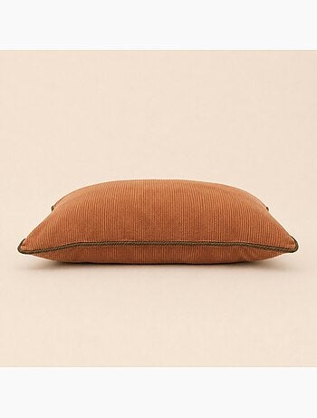 Lot de 2 housses de coussin 35x60cm en velours