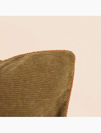 Lot de 2 housses de coussin 35x60cm en velours
