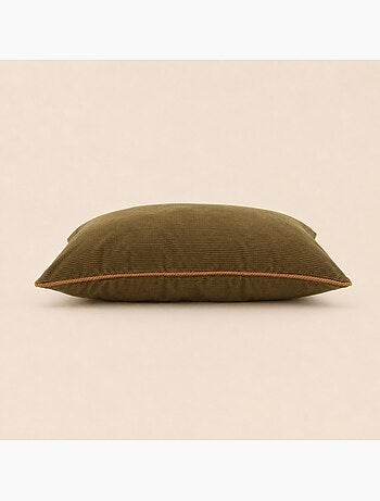 Lot de 2 housses de coussin 35x60cm en velours