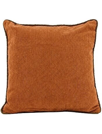 Lot de 2 housses de coussin 40x40cm en velours