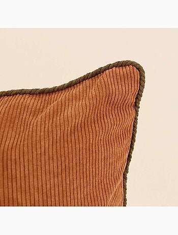 Lot de 2 housses de coussin 40x40cm en velours