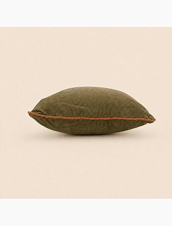 Lot de 2 housses de coussin 40x40cm en velours