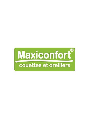 Lot de 2 oreillers - DODO - Polyester