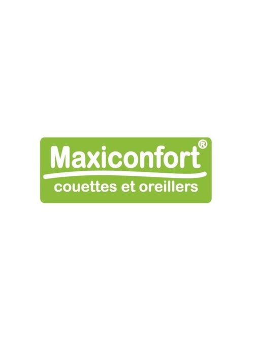 Lot de 2 oreillers - DODO - Polyester - Kiabi Lot de 2 oreillers - DODO - Polyester - Kiabi