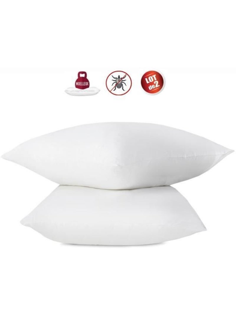 Lot de 2 oreillers anti-acariens - 60 x 60 cm - 100% coton traité biome® - abeil Blanc - Kiabi