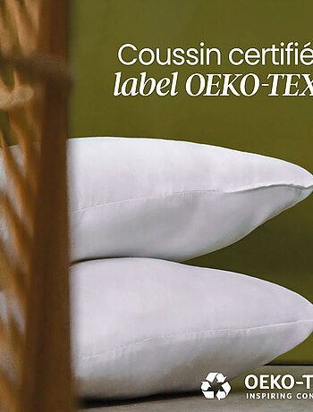 Lot de 2 oreillers, coussins de garnissage carrés - Vivezen