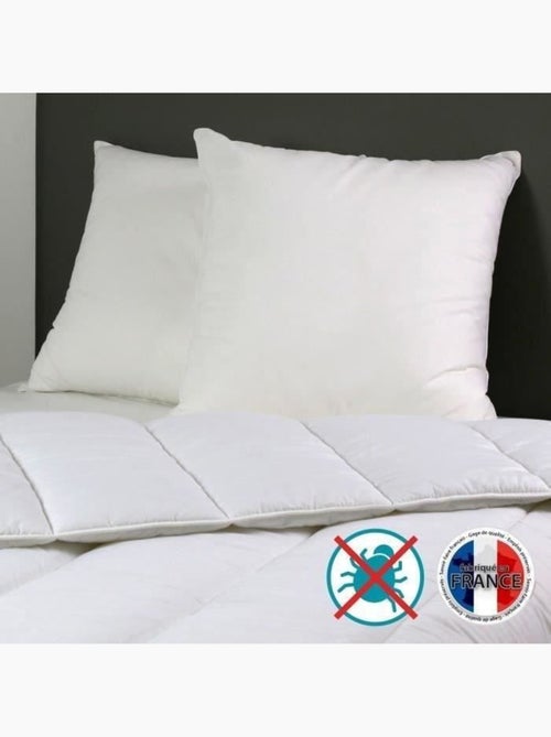 Lot de 2 Oreillers DODO - Belle Nuit - 60 x 60 cm - Blanc - Kiabi