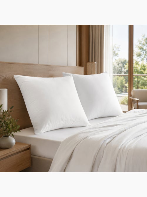 Lot de 2 Oreillers Douceur 60 x 60 cm – Anti-Acariens Soft & Care – Blanrêve - Kiabi Lot de 2 Oreillers Douceur 60 x 60 cm – Anti-Acariens Soft & Care – Blanrêve - Kiabi