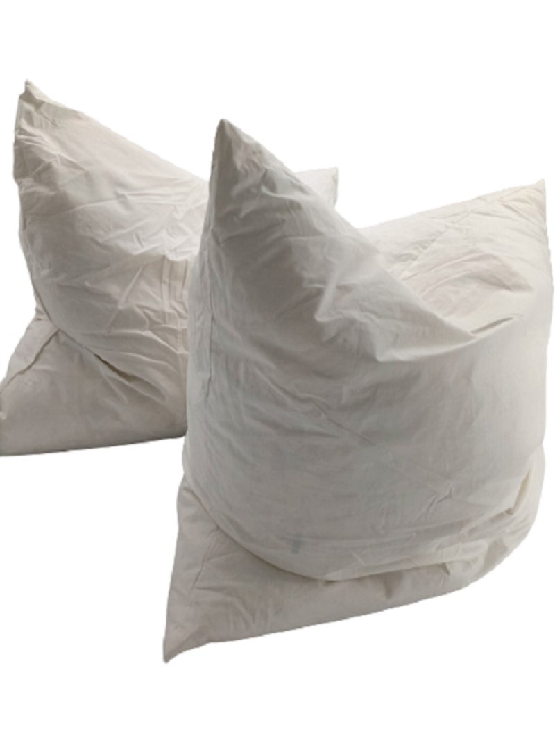 Lot De 2 Oreillers moelleux Plumettes Percale De Coton Blanc - Kiabi