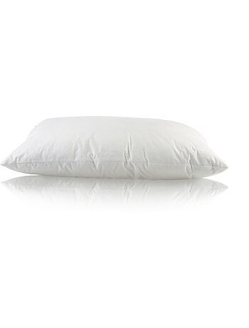 Lot de 2 Oreillers Polyester PROMO LINGE
