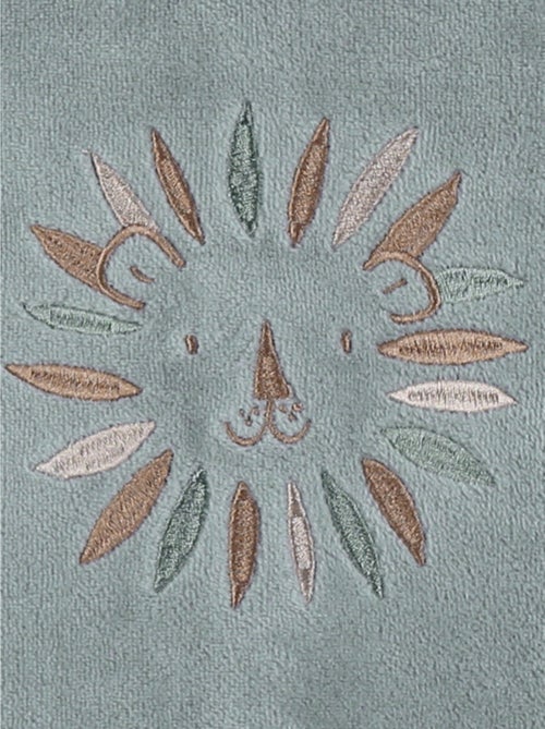 Lot de 2 pyjamas bébé en velours doux Noukie's - Kiabi