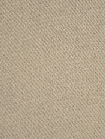 Lot de 2 rideaux obscurcissants unis avec 8 œillets - 135x240 cm - Vert tilleul