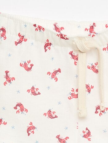 Lot de 2 shorts en jersey