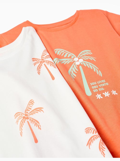 Lot de 2 T-shirts en coton avec imprimé palmiers - Kiabi
