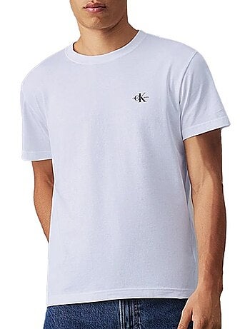 Lot de 2 T-shirts Homme Calvin Klein