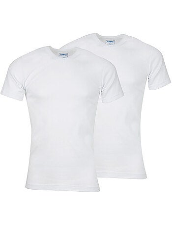 Lot de 2 tee-shirts col V homme Coton Bio Athena