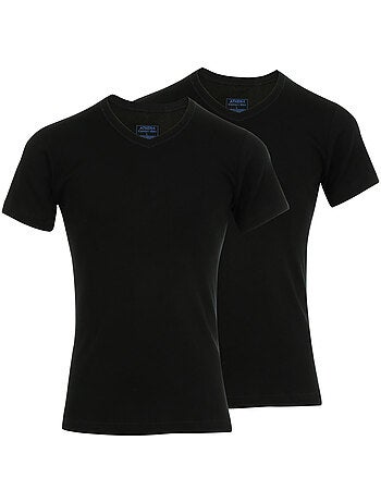 Lot de 2 tee-shirts col V homme Coton Bio Athena
