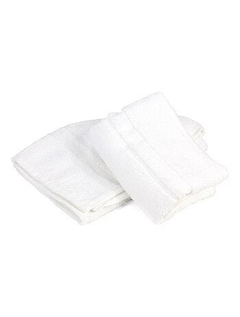 Lot de 2 torchons cuisine éponge PURE KITCHEN TERRY