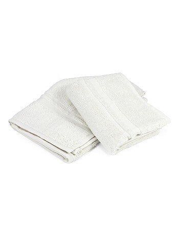 Lot de 2 torchons cuisine éponge PURE KITCHEN TERRY