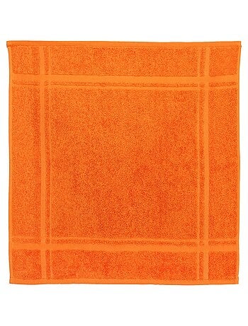 Lot de 2 torchons cuisine éponge PURE KITCHEN TERRY