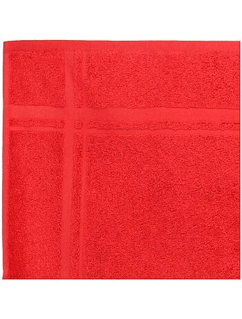 Lot de 2 torchons cuisine éponge PURE KITCHEN TERRY