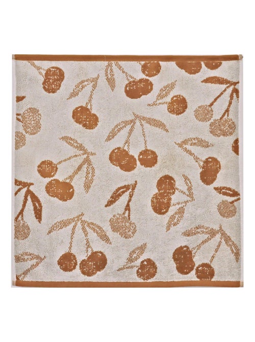 Lot de 2 torchons de cuisine éponge coton BING 50x50 cm - Kiabi