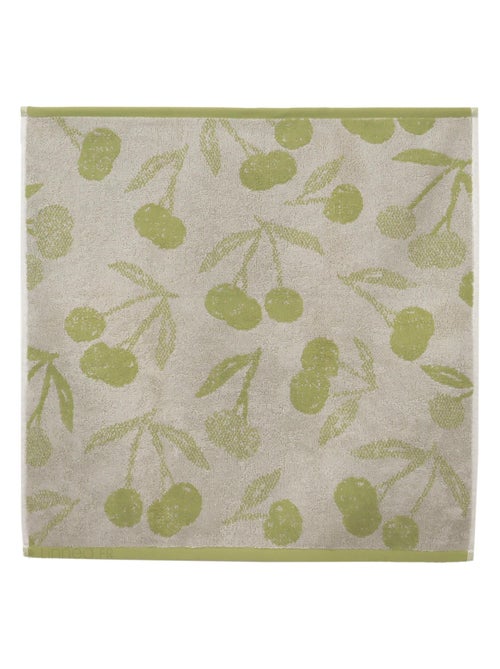 Lot de 2 torchons de cuisine éponge coton BING 50x50 cm - Kiabi