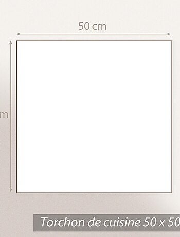 Lot de 2 torchons de cuisine éponge coton CACTUS 50x50 cm