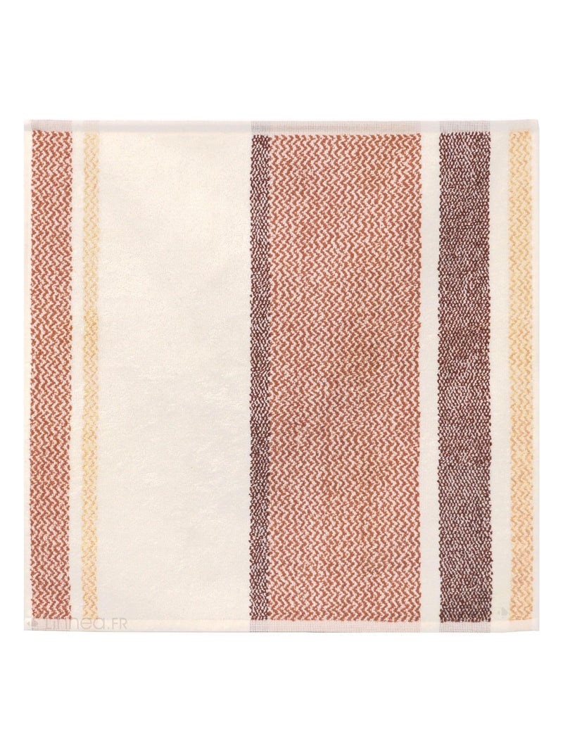 Lot de 2 torchons de cuisine éponge coton OTON 50x50 cm Marron - Kiabi