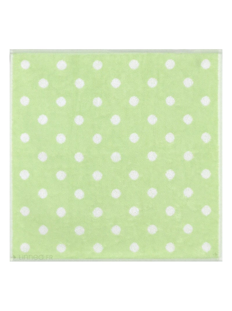 Lot de 2 torchons de cuisine éponge coton SPOT II 50x50 cm Vert - Kiabi
