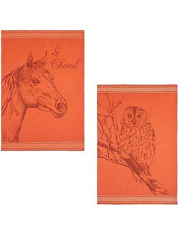 Lot de 2 torchons en jacquard de coton, ETALON ET CHOUETTE
