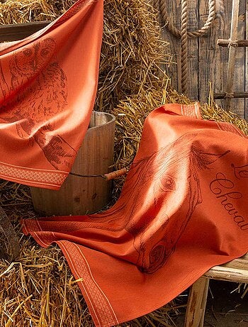 Lot de 2 torchons en jacquard de coton, ETALON ET CHOUETTE