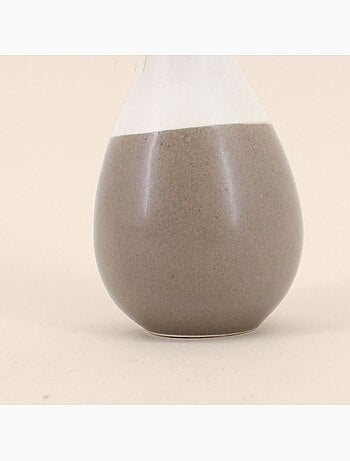 Lot de 2 vases en céramique avec fleurs séchées