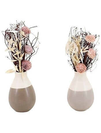 Lot de 2 vases en céramique avec fleurs séchées