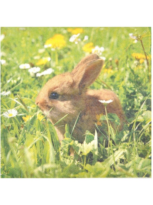 Lot de 20 serviettes en papier Lapin - Kiabi