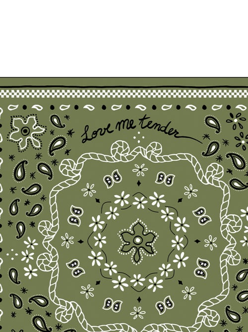 Lot de 20 serviettes papier bandana - Kiabi