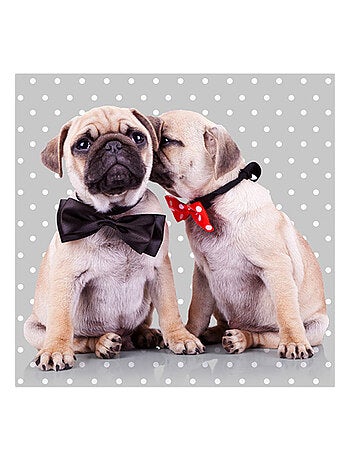 Lot de 20 serviettes papier carlin