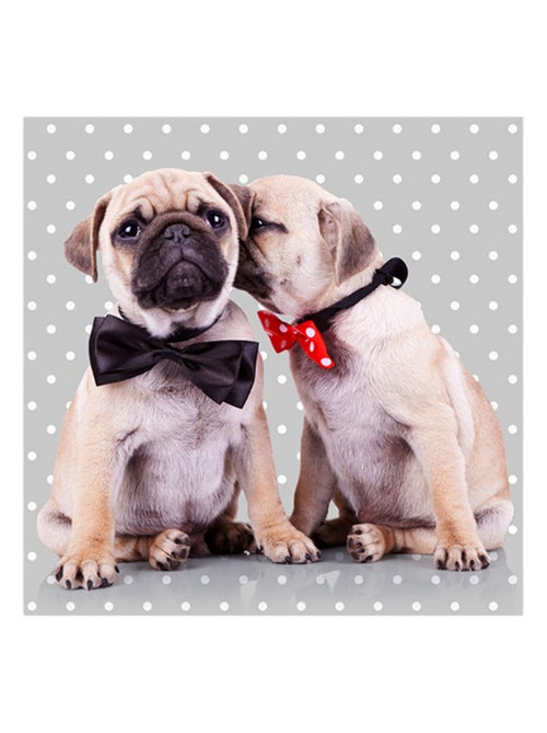 Lot de 20 serviettes papier carlin - Kiabi