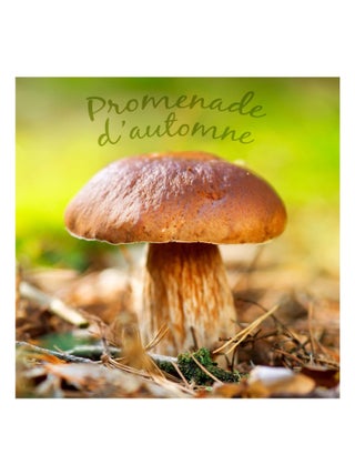 Lot de 20 serviettes papier champignon