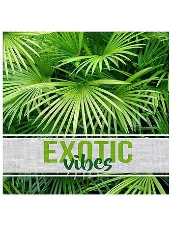 Lot de 20 serviettes papier Exotic