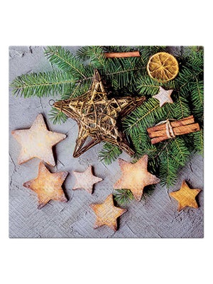Lot De 20 Serviettes En Papier Noël - Motif Père Noël Sur Banc Avec Animaux, 33x33 Cm, Triple épaisseur - Ambiente