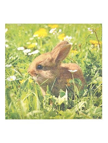 Lot de 20 serviettes papier lapin