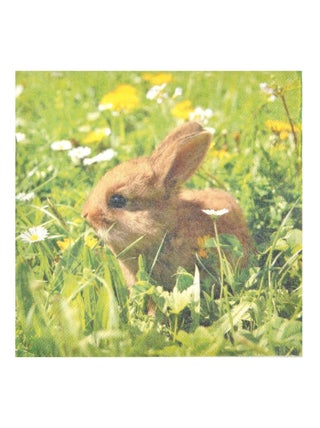 Lot de 20 serviettes papier lapin