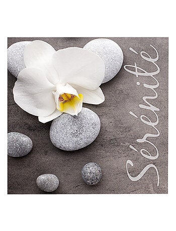 Lot de 20 serviettes papier serenite