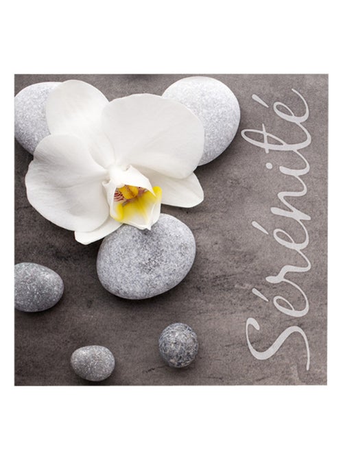Lot de 20 serviettes papier serenite - Kiabi